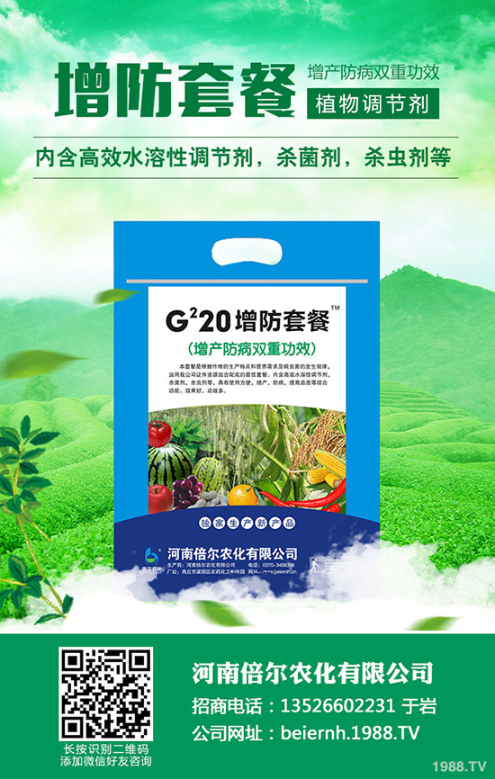 六月可以種植的蔬菜有哪些?六月種蔬菜管理要點!