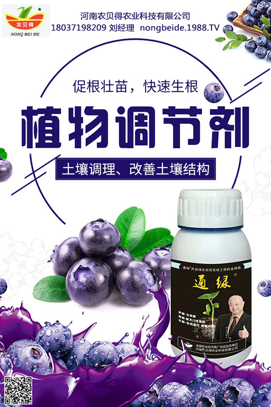 八月瓜到底有多好,八月瓜的藥用價(jià)值及營(yíng)養(yǎng)功效!