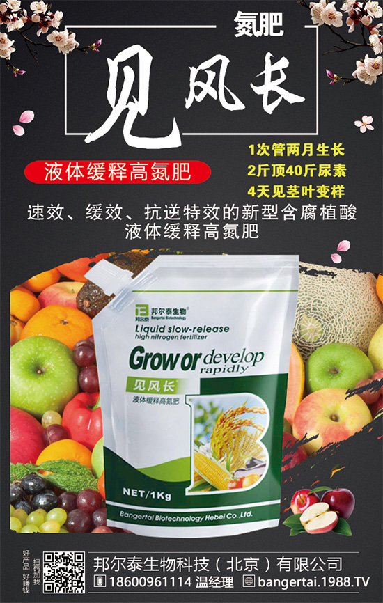 金錢草有哪些生長(zhǎng)習(xí)性?金錢草怎么種植?