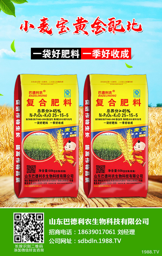 棉花如何種植?播種時期及播種密度!如何科學(xué)管理?棉花前中后期管理方案!