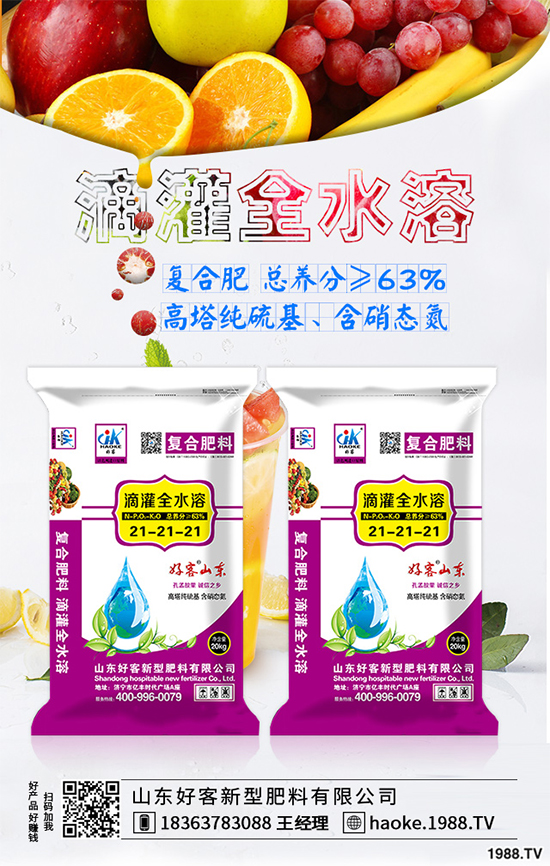 馬鈴薯該如何增產(chǎn)?六大技術(shù)助力馬鈴薯增產(chǎn)提質(zhì)(值得收藏。