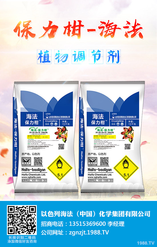 玉木耳種植賺錢(qián)么?玉木耳如何栽培?玉木耳栽培技術(shù)及種植效益成本!