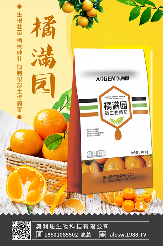 木瓜什么時間種植?木瓜幼苗怎么挑選?