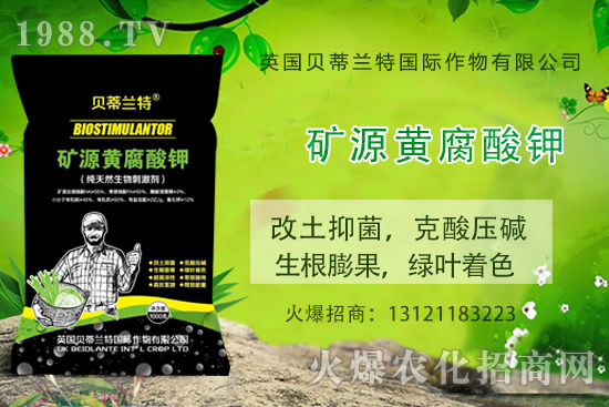 哈密瓜怎么種?哈密瓜種植應(yīng)該注意哪些事項(xiàng)?