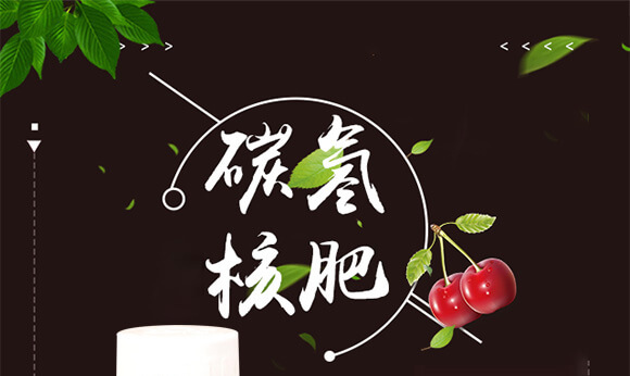 碳?xì)浜朔?藍(lán)藻門(mén)-碳?xì)鋰?guó)際_01