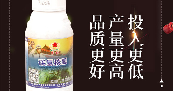 碳?xì)浜朔?藍(lán)藻門(mén)-碳?xì)鋰?guó)際_02