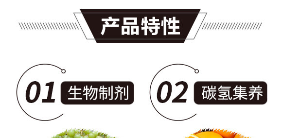 碳?xì)浜朔?藍(lán)藻門(mén)-碳?xì)鋰?guó)際_08