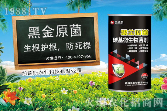 玉米什么時(shí)候成熟,玉米的收獲時(shí)期,玉米的營養(yǎng)價(jià)值!