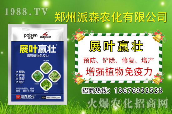 秋黃瓜什么時候種,秋黃瓜的種植時間及管理方法!