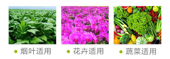 含腐植酸水溶肥-奧納根力壯-奧納農業(yè)_08