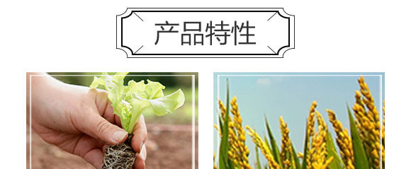 細(xì)胞分裂素-國(guó)豐健園_04