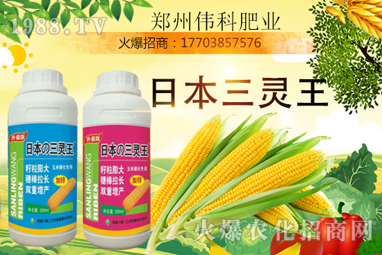 玉米控旺幾次好,玉米控旺時間及玉米控旺產品選擇!
