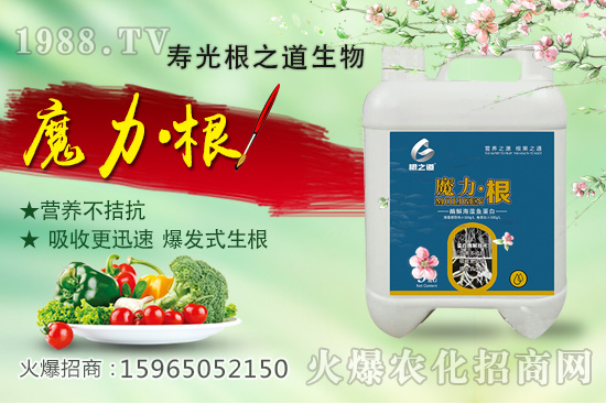 要想作物好,根系更重要!壽光根之道怎么樣?有哪些爆款產(chǎn)品?