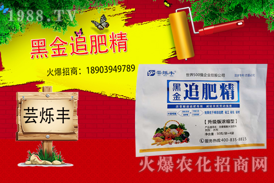 追肥不當,作物減產(chǎn)!追肥為什么要用水溶肥呢?