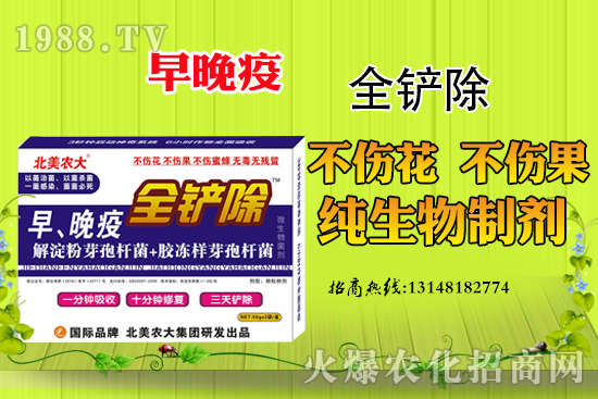 早晚疫危害嚴重,早晚疫防治措施有哪些?