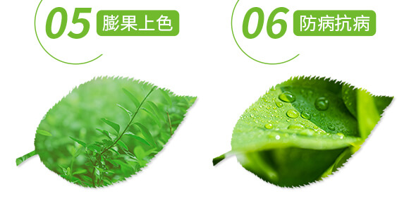 土壤修復(fù)劑-修田-愛(ài)農(nóng)斯達(dá)_06