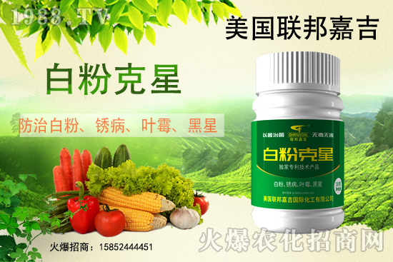 白粉病強勢來襲!反復(fù)發(fā)作真的治不好么?作物白粉病劑推薦!