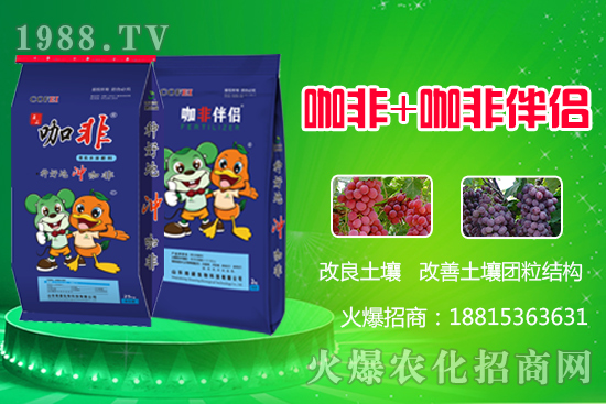 種好地沖好肥,解決作物生長難題,“咖非+咖非伴侶”開創(chuàng)有機水溶肥新時代!