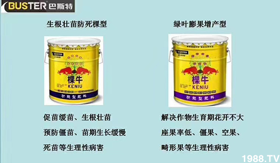 如何讓種植變得更輕松?一個套餐,全面配方,巴斯特大姜營養(yǎng)套餐方案!