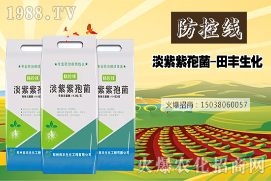 玉米倒伏
