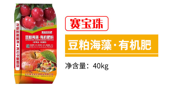 ɺ塤ЙC(j)-ِ_(ki)03
