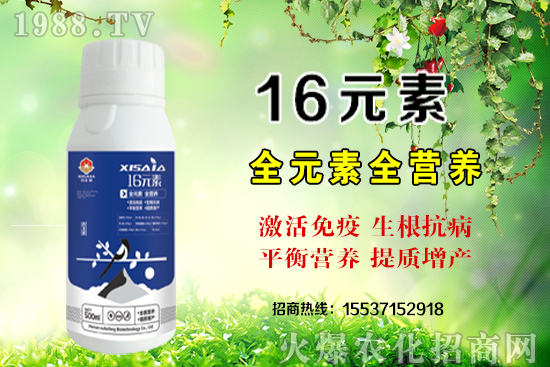 磷銨價格
