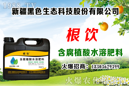 立秋后露地大白菜播種時間,管理需注意什么問題?