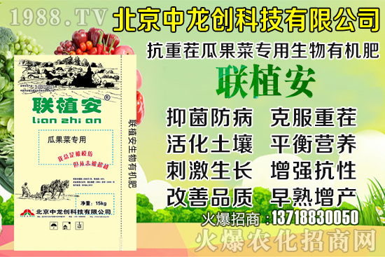2020-8-20小麥收購價多少錢一斤?小麥價格行情如何?