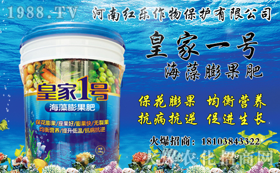 花椒產(chǎn)地主要在哪?花椒價(jià)格多少錢(qián)一斤?種植前景及效益分析!