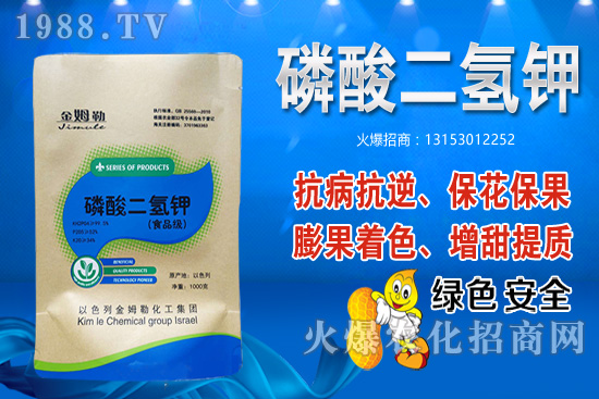 今年小麥如何選擇品種?小麥播種怎樣合適?什么時間播種?