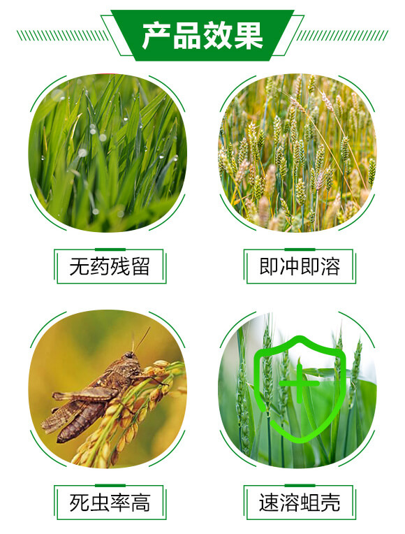 蛆蟲蝕殼劑-斗蛆-強(qiáng)農(nóng)生物_03