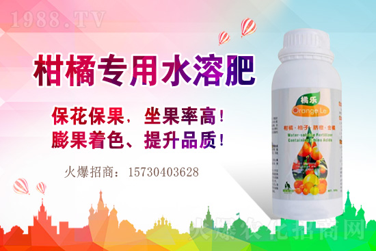 草莓的生長習(xí)性有哪些?早春大棚草莓管理技術(shù)要點(diǎn)!