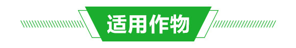 微生物菌劑-豐隆根力旺(腐殖酸型)-億豐隆_04
