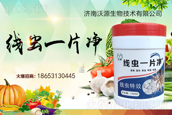 根結(jié)線蟲(chóng)難防治,專治線蟲(chóng)“線蟲(chóng)一片凈”