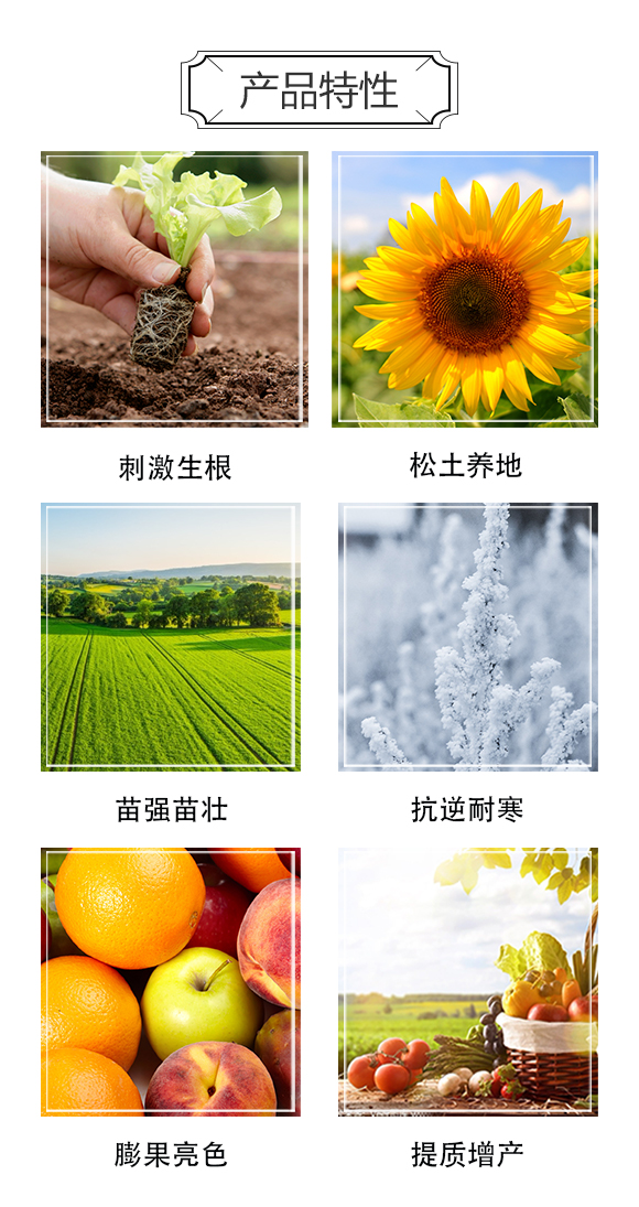 昕爵集團1_03