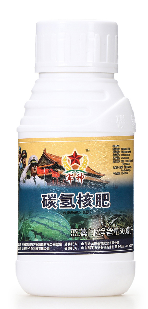碳?xì)浜朔?藍(lán)藻門(mén)-碳?xì)鋰?guó)際1