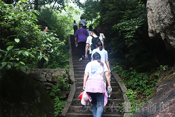 山水萬程,皆有好運