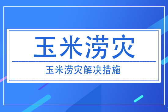 澇災(zāi)對玉米產(chǎn)量有什么影響?玉米澇災(zāi)采取措施解決?