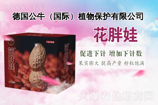 【德國公!孔4蠹以谛碌囊荒昀镄腋C罎M,闔家歡樂!