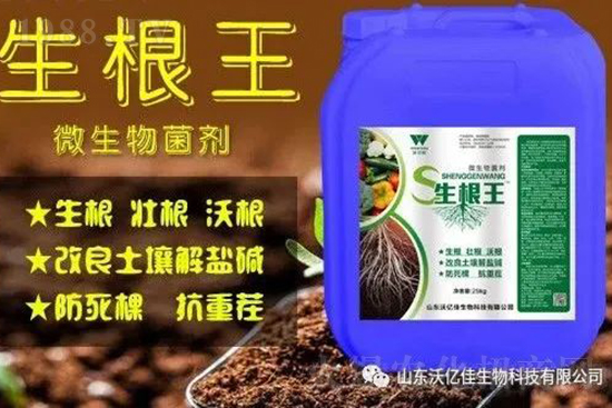 作物重茬、爛根死棵嚴(yán)重啥原因?如何改善這些難題?