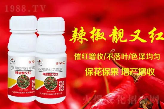辣椒催紅增收專利產品!自然增紅零激素,色澤勻無黃斑