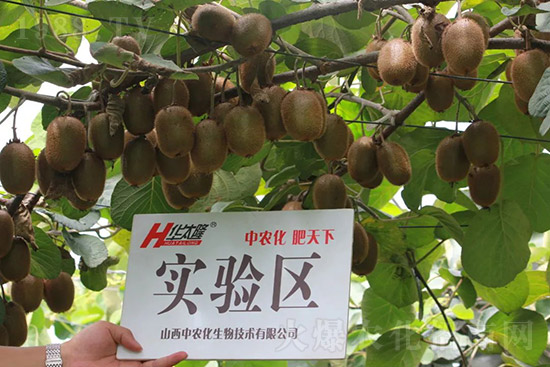 JcЩJôʩ