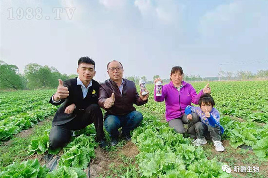 玉米追肥復(fù)合肥好還是尿素好?很多人都錯(cuò)了!它才是正確選擇