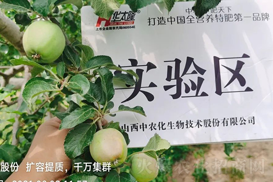 蘋果果個小是什么原因?解決對策有哪些?