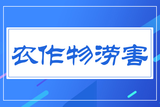 農作物澇害