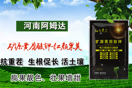http://fert.1988.TV/jiafei/