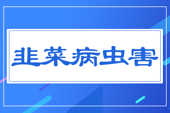 韭菜病蟲害