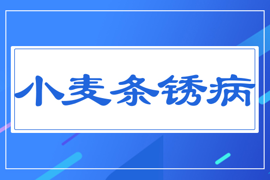 小麥條銹病