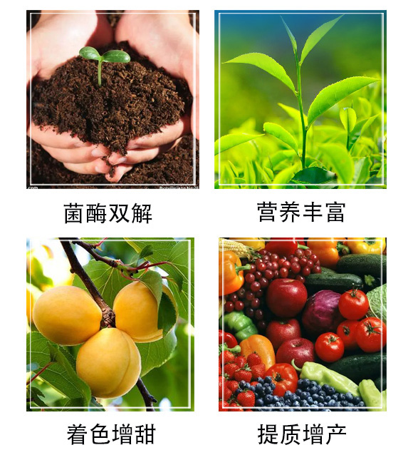 甜言蜜語(yǔ)-和協(xié)生物_03