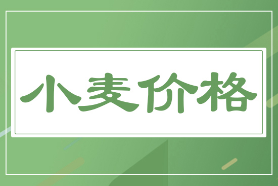 新麥開(kāi)秤價(jià)，一斤多少錢(qián)？5月19日小麥價(jià)格行情